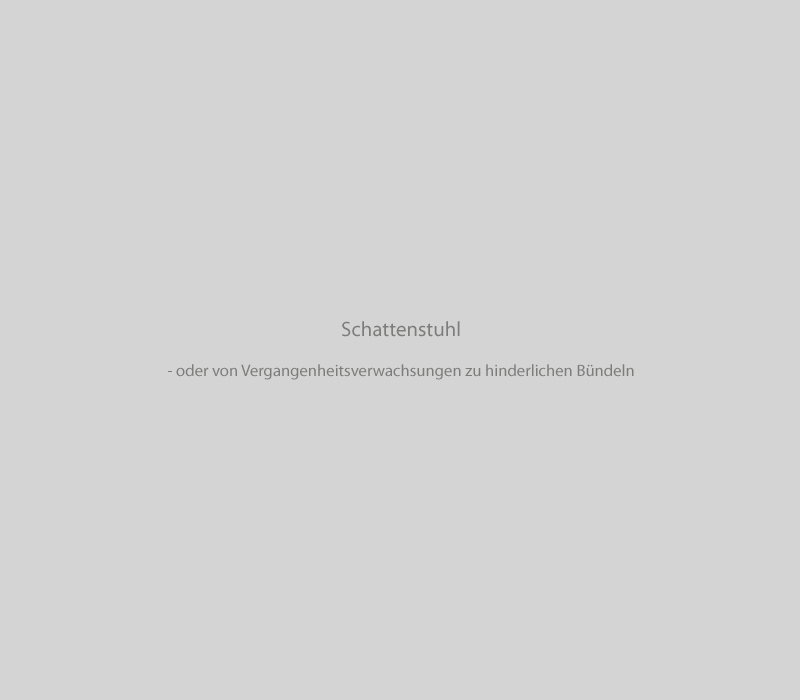 Slider_Texte_Schattenstuhl