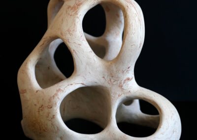 bones & roots